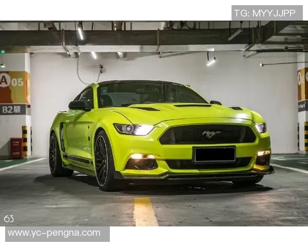 球星展现力量美学肌肉与足球激情碰撞震撼绿茵