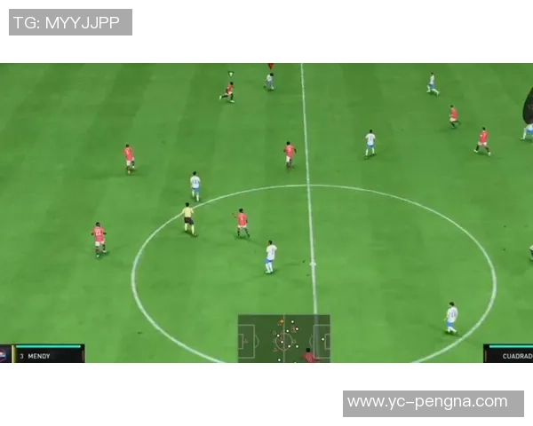 巅峰肥罗绿茵赛场风云传奇重温绝代球星的速度与激情